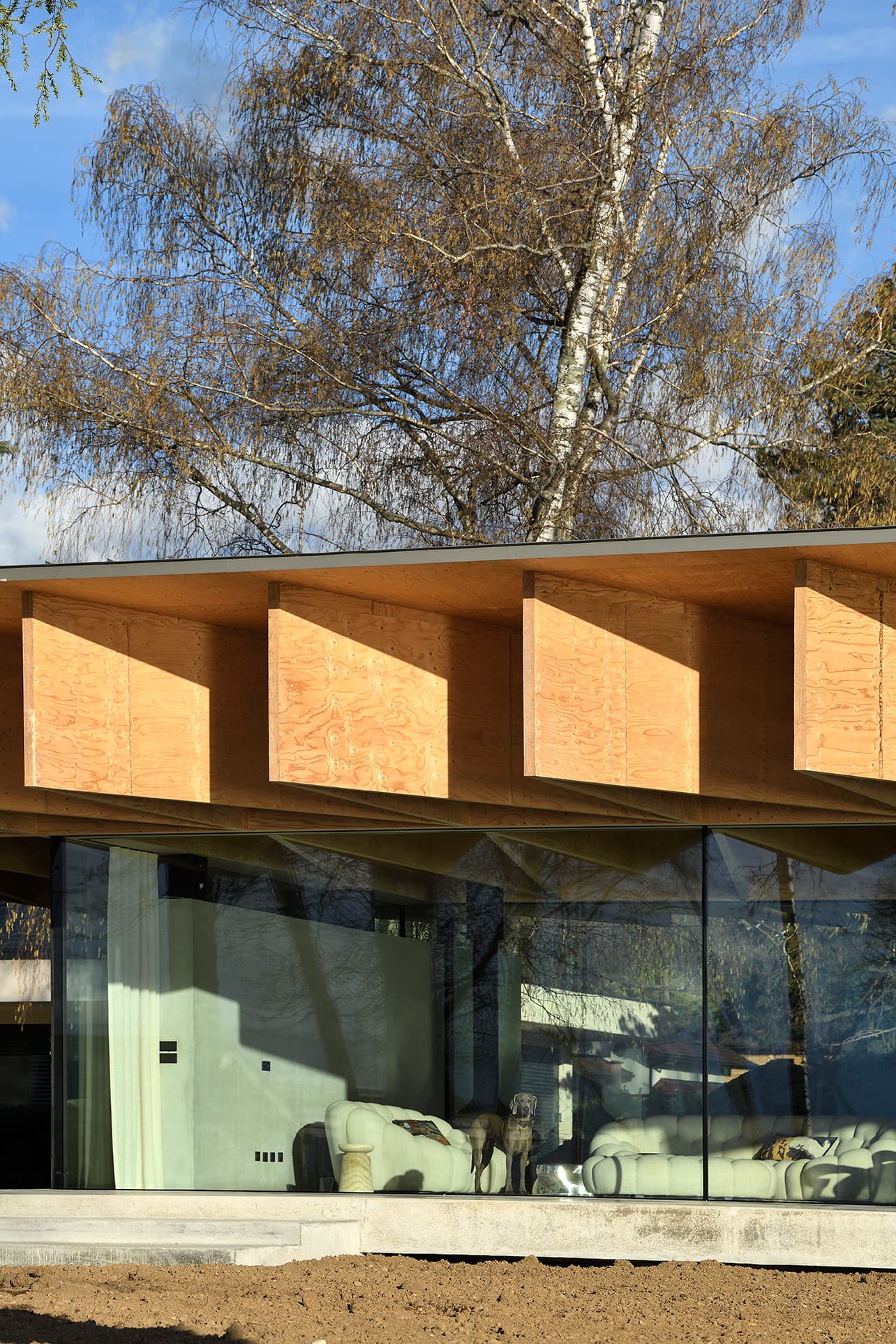 Façade verticale dans le projet BA - Holz House à Lac Léman, France.